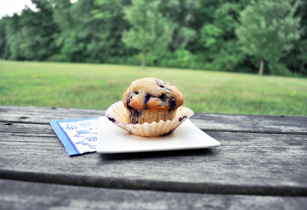 vegan blueberry muffin