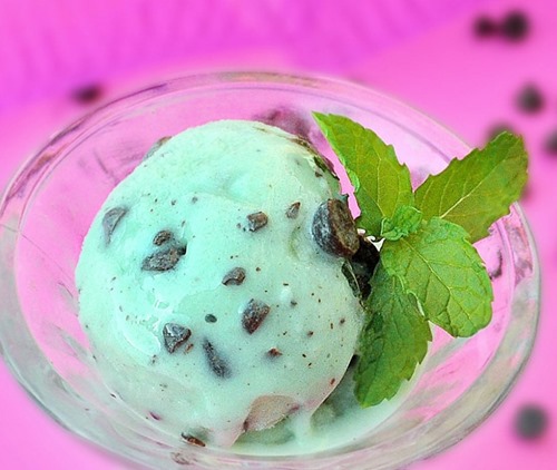 Chocolate Covered Katie Mint Chocolate Chip Ice Cream Chocolate Covered Katie Mint Chocolate Chip Ice Cream