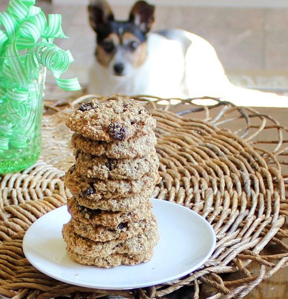Flourless dog treat recipes Go beyond just making treats and look at ways to prepare your dogs daily food with our list of homemade dog food recipes. Making your dogs food at home is not only easier on the wallet, but you have full control over the ingredients, which means no surprises! This is especially important for dog's with allergies and sensitivies.