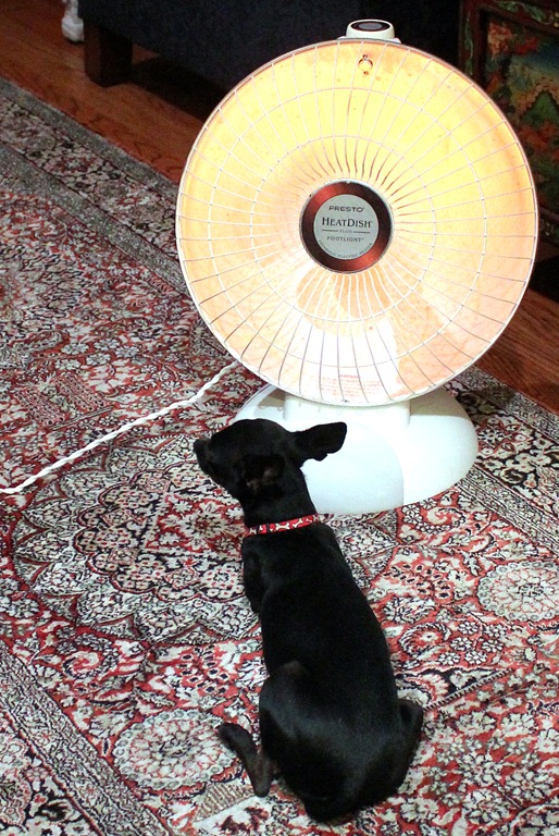 Heat Dish