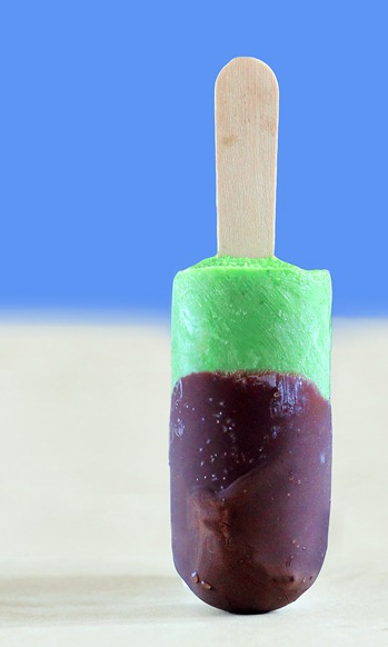 mint-chocolate-fudge-pops_thumb_3.jpg