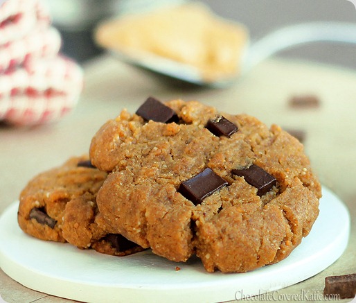 Peanut butter chocolate chip gingerbread christmas cookies! http://chocolatecoveredkatie.com/2012/12/11/peanut-butter-gingerbread-chocolate-chunk-cookies/ Peanut butter chocolate chip gingerbread christmas cookies! http://chocolatecoveredkatie.com/2012/12/11/peanut-butter-gingerbread-chocolate-chunk-cookies/