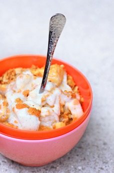 Carrot Pudding